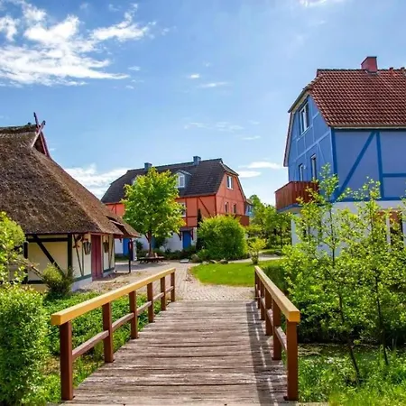 Apartment Holiday Beech Fleesensee Göhren-lebbin - Dms02131-cyc *